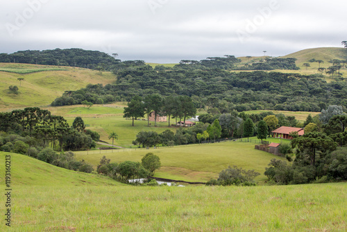 Case Granja Andreazza produtor de morango Santa Lucia do Piai Caxias do Sul RS. photo