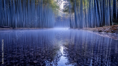 Misty morning in a bamboo forest with a calm river reflecting the trees.