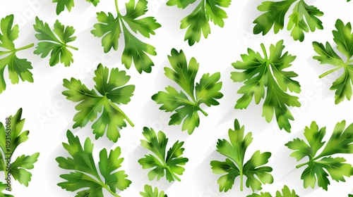 Fresh Tasty Parsley Leaves on White Background: Culinary Herb for Cooking