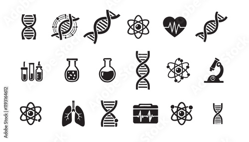 DNA vector