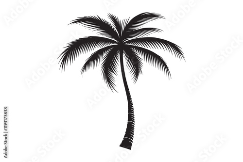 Palm Tree silhouette vector illustration on a white background 