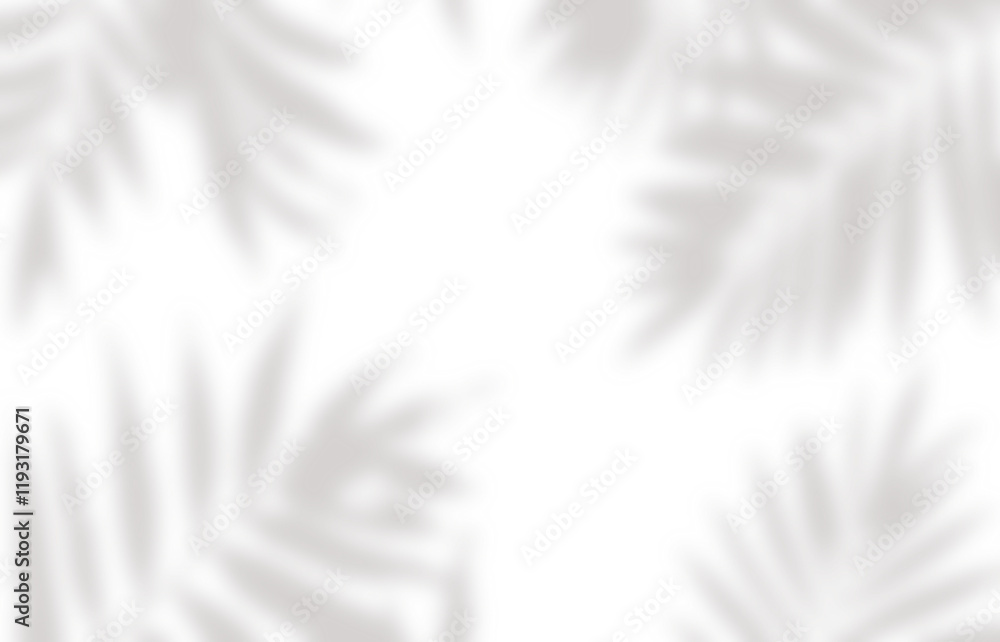 Obraz premium Leaf shadow in sunlight png
