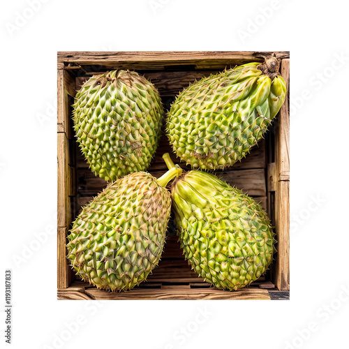 Exotic Delights: A quartet of soursop fruits, showcasing their spiky, green exteriors and nestled within a rustic wooden crate, invites a sensory journey. photo