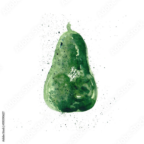 Watercolor vector of avocado fruit, isolated on a white background, and avocado fruit vector
