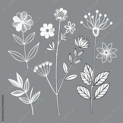 Wallpaper Mural Five simple, minimalist line art drawings of various wildflowers and foliage on a light gray with white background Torontodigital.ca