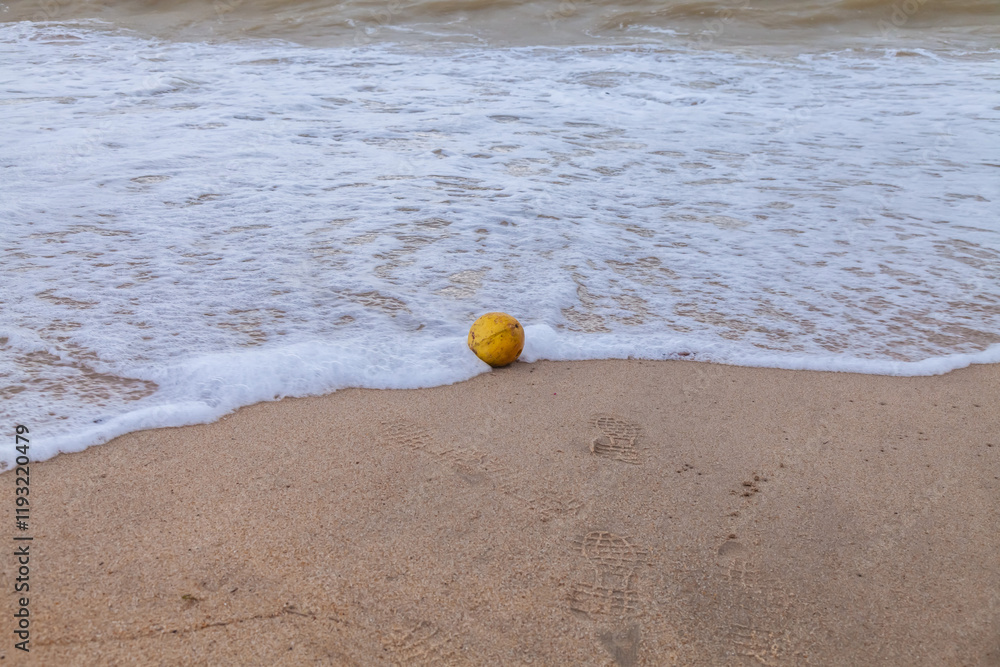 yellow coconut lies on the beach near the waves yellow coconut lies on the beach near the waves