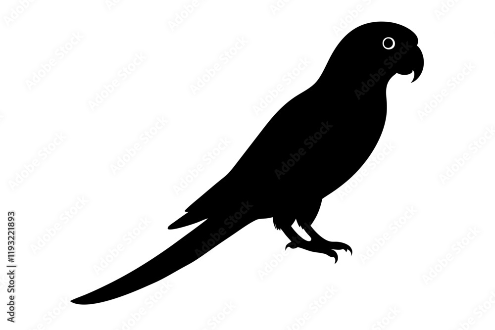 Parrot Silhouette Vector Illustration - Minimalist Bird Design Parrot Silhouette Vector Illustration - Minimalist Bird Design