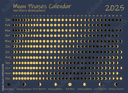 2025 Moon Phases Calendar. Northern Hemisphere lunar calendar design template. Astrological, astronomical moonlight activity scheduler. Month cycle planner mockup. Magical blue and gold colors vector.
