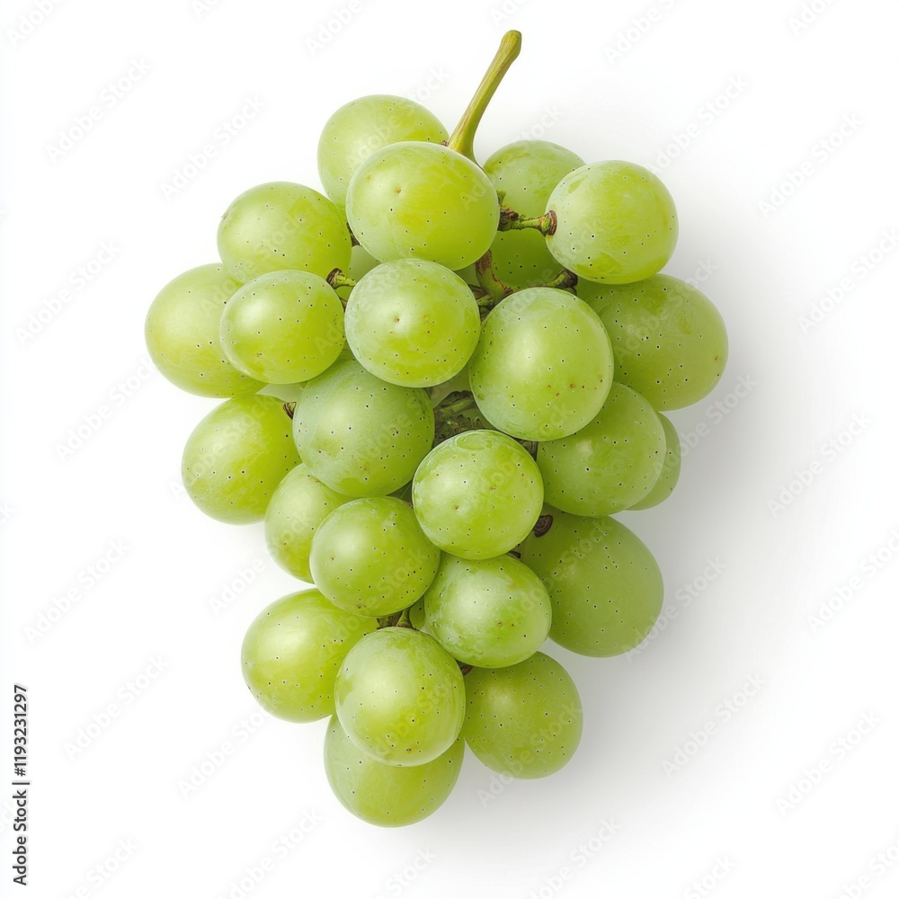 Harvesting fresh green grapes vineyard food photography nature close-up organic freshness, isolated on white background Harvesting fresh green grapes vineyard food photography nature close-up organic freshness, isolated on white background