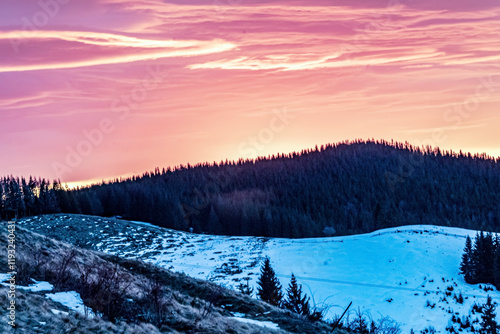 Wallpaper Mural Landscapes - Forest - Europe, Romania, Suceava region  Torontodigital.ca