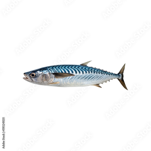 Atlantic Horse Mackerel: A detailed close-up reveals the vibrant blue and silver scales of a fresh Atlantic horse mackerel, showcasing its sleek body and distinctive markings. 