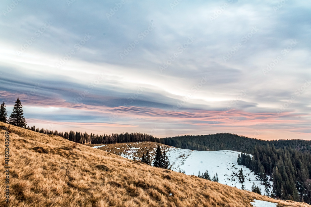 Landscapes - Forest - Europe, Romania, Suceava region Landscapes - Forest - Europe, Romania, Suceava region