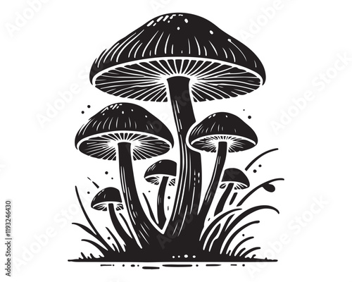 Mushroom.eps