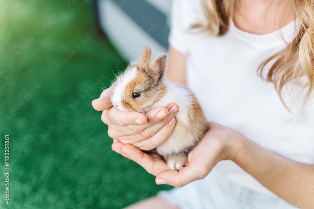 a fluffy little toy rabbit in hands of a young woman a fluffy little toy rabbit in hands of a young woman