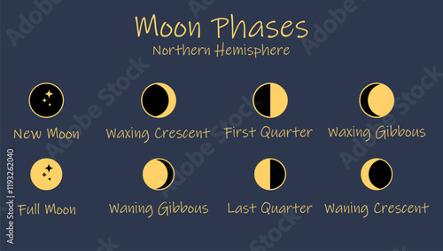 Simple minimal design icon set of phases of northern hemisphere moon. Astrological, astronomical moonlight activity scheduler. Month cycle element isolated on mystical blue background vector.