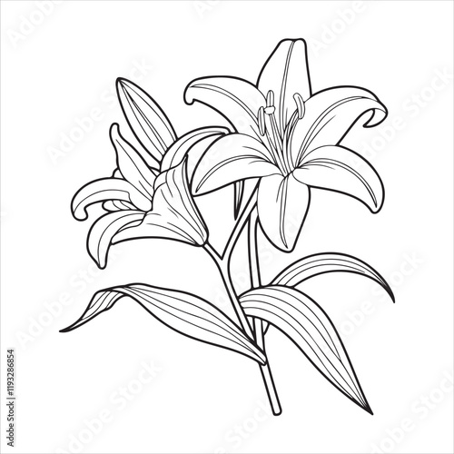 Coloring page with Lilies and leaves. Vector page for coloring. Flower Colouring page. Outline Lilies . Black and white page for coloring book. Anti-stress coloring. Line art flowers