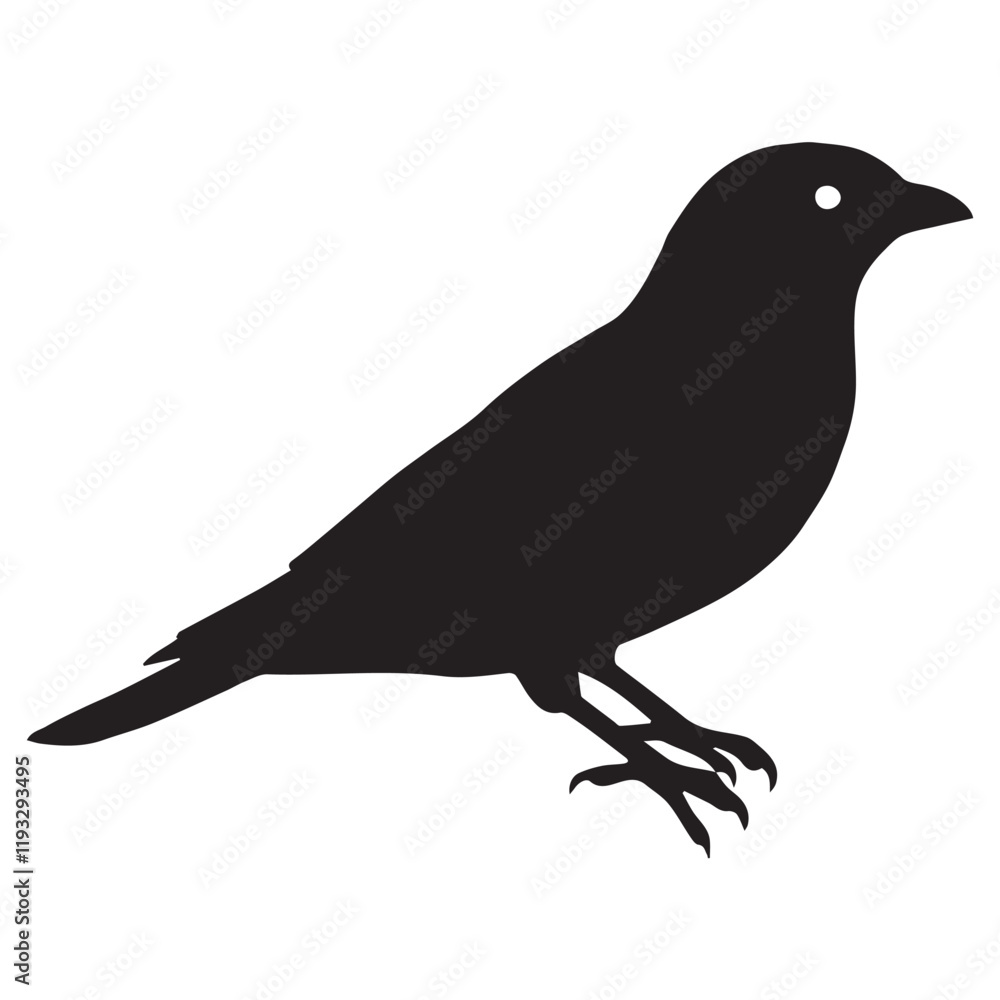 Fototapeta premium Silhouette of a bird on white background 