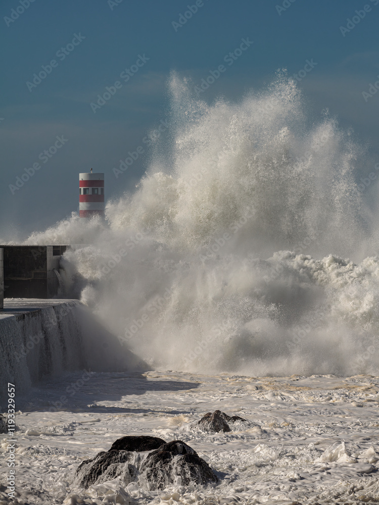 Fototapeta premium Big stormy wave splash