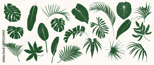 Set of tropical palm leaves and plants isolated on white background.