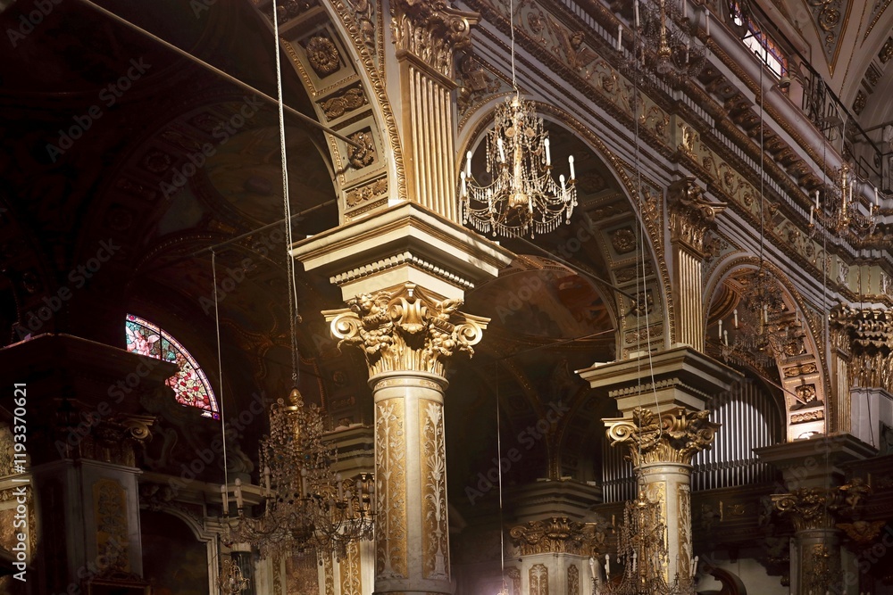 Obraz premium Nostra Signora della Rosa