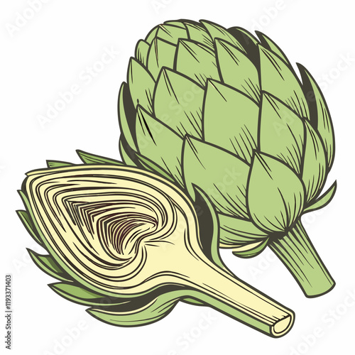 illustration of a artichoke