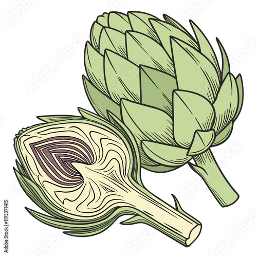 illustration of a artichoke