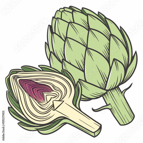 illustration of a artichoke