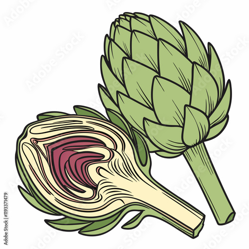 sketch of artichoke