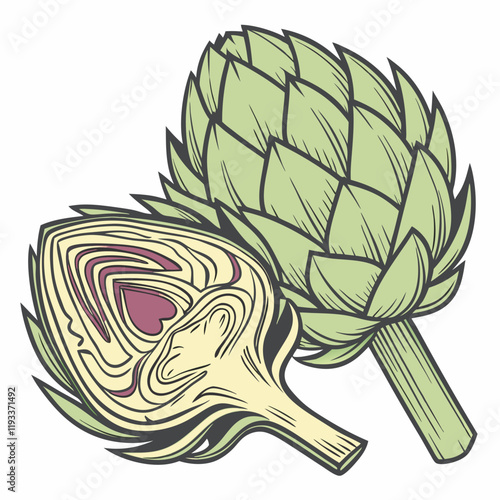 illustration of a artichoke