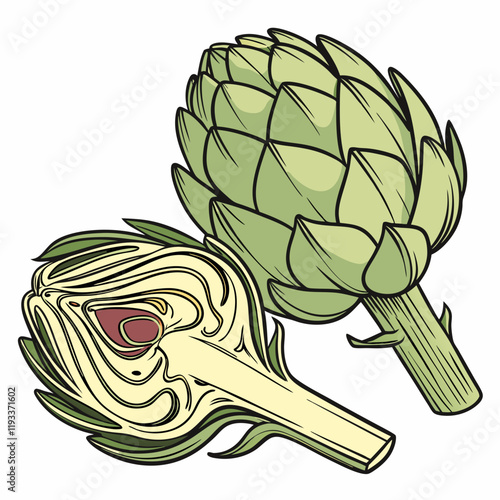 illustration of artichoke
