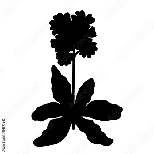 Primula or primrose flower, black silhouette isolated on white. Hand drawn single plant with stem and leaves, stencil style. Vector clipart for spring flowers illustration, floral design and print.