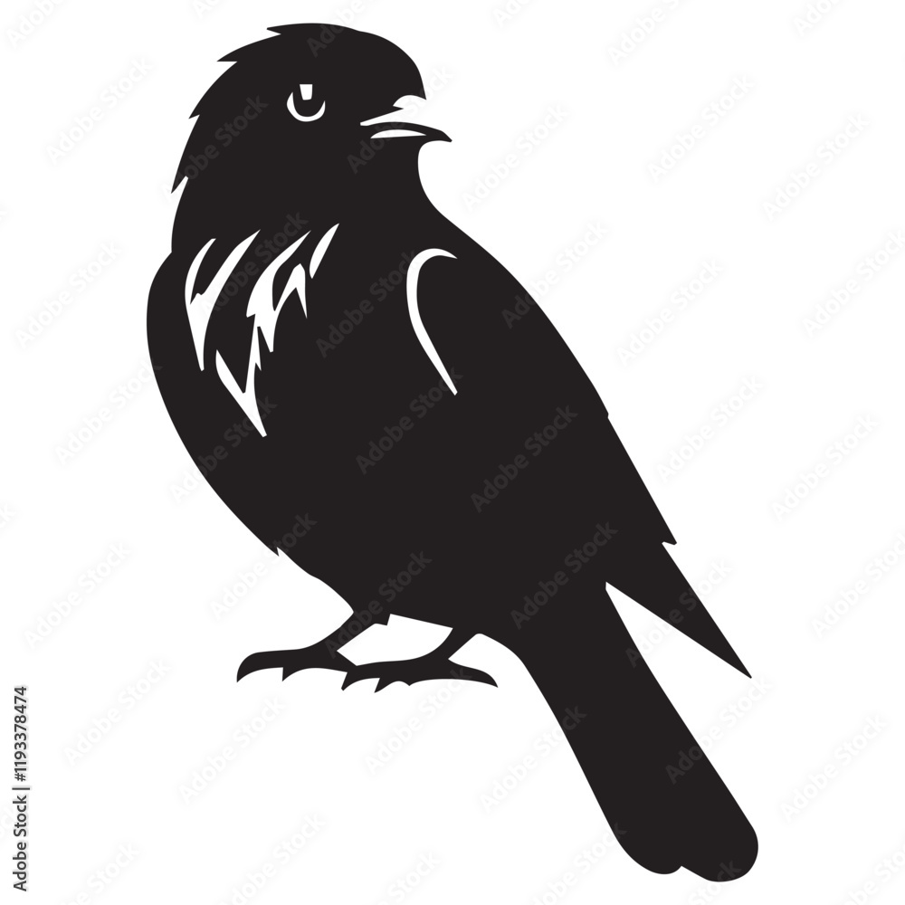 Fototapeta premium Silhouette of a bird on white background 