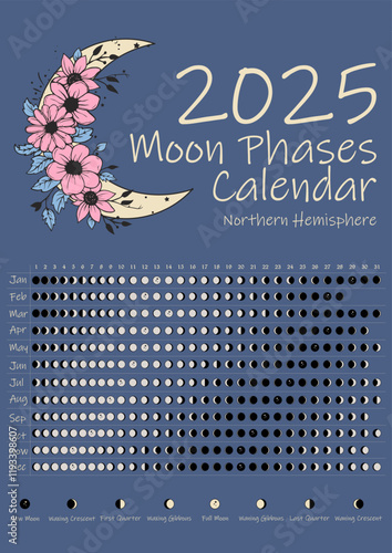 Beautiful 2025 Moon Phases Calendar. Northern Hemisphere lunar calendar design template. Astrological, astronomical moonlight activity scheduler. Month cycle planner mockup. Magical colors vector.