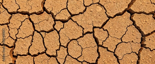 Cracked earth arid land drought texture Dry soil background photo