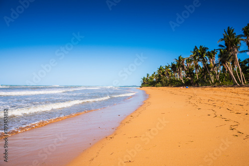 Fototapeta Naklejka Na Ścianę i Meble -  More than a mile long and shaded with coconut trees, Luquillo beach is a beautiful place to sunbathe and enjoy the ocean.