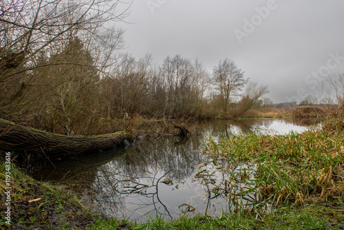 A peaceful river during fall colors with beautiful reflections in the water, Scania county, Sweden. A dark sky in the background