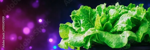 Fresh green lettuce with vibrant leaves is highlighted against a glowing bokeh background, symbolizing health and vitality in a festive, colorful palette photo