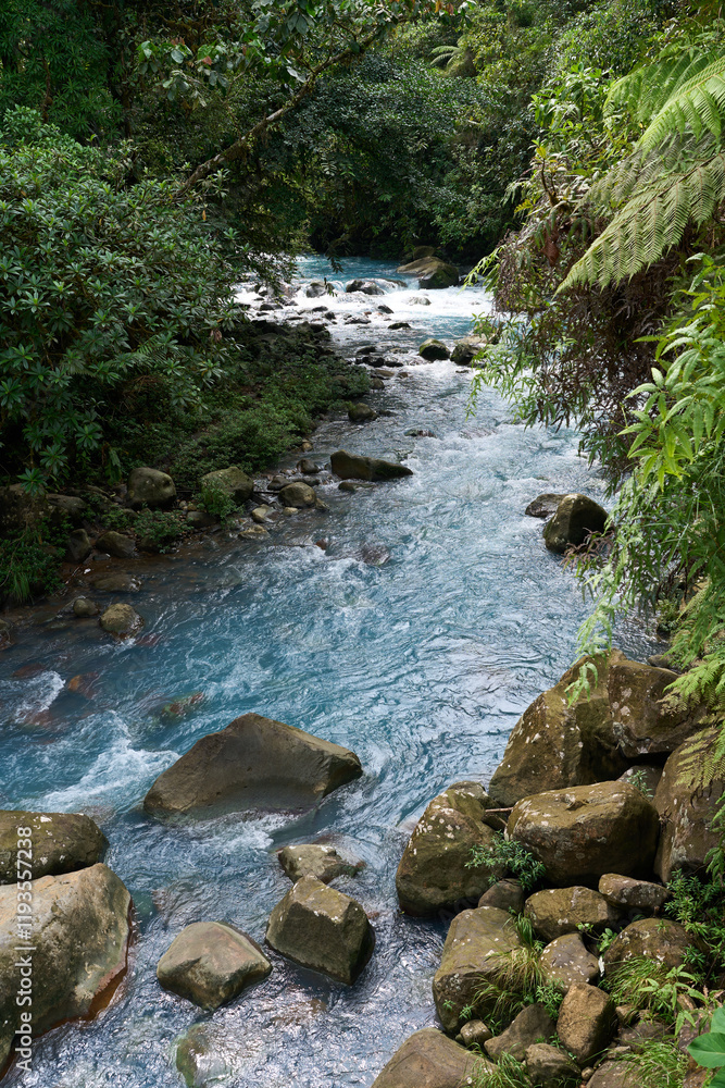 Alajuela Province, Costa Rica - November 19, 2024 - the Celeste river in the Tenorio Volcano National Park Alajuela Province, Costa Rica - November 19, 2024 - the Celeste river in the Tenorio Volcano National Park