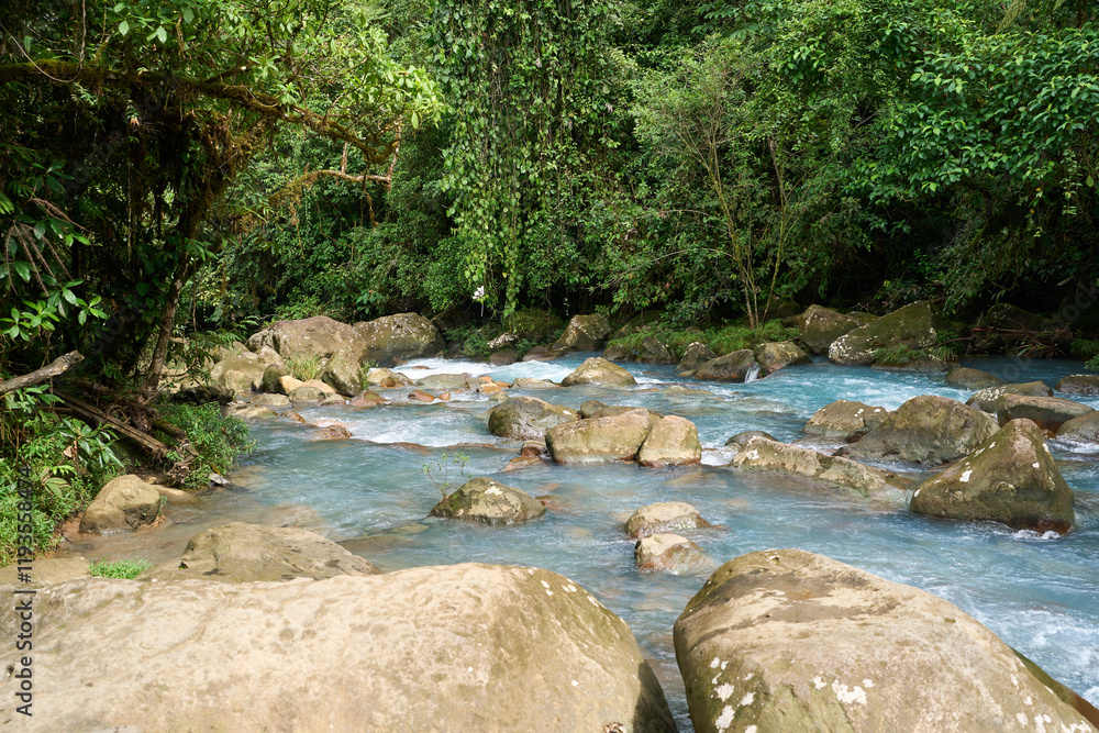 Alajuela Province, Costa Rica - November 19, 2024 - the Celeste river in the Tenorio Volcano National Park