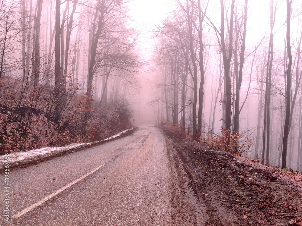 Old road through beautiful foggy forest on winter morning Old road through beautiful foggy forest on winter morning