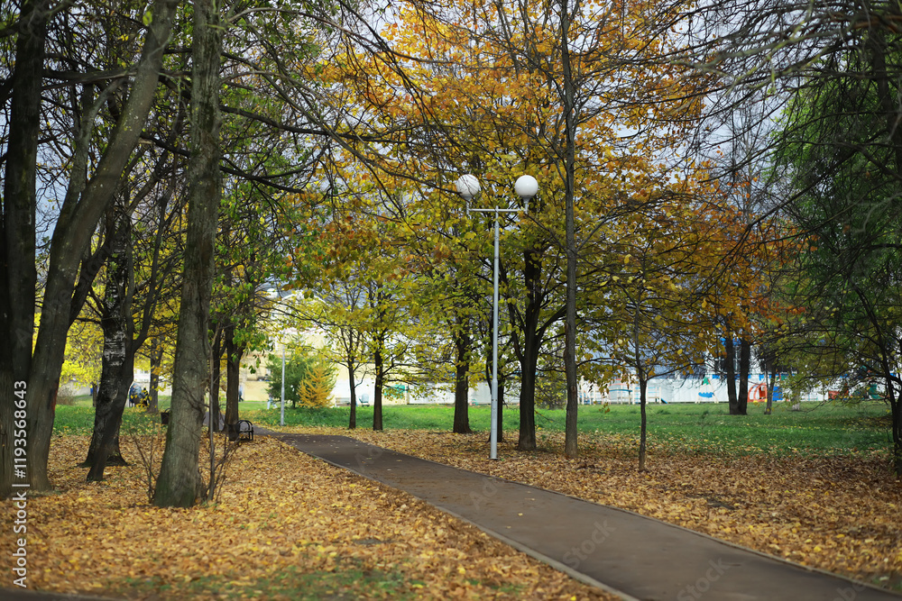 Fototapeta premium Autumn Park Pathway with Fallen Leaves and Colorful Trees on a Cloudy Day