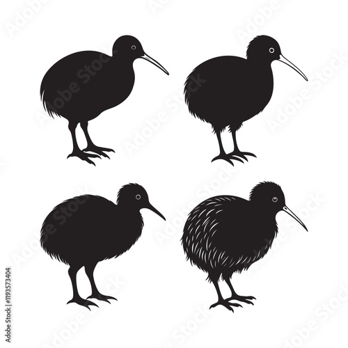 Set of kiwi bird silhouette, black and white silhouette, vector and illustration