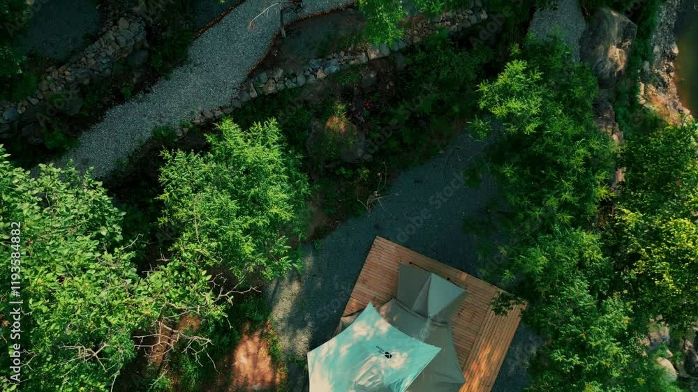 Summer wild forest camping tent experience in serene wooded surroundings Summer wild forest camping tent experience in serene wooded surroundings