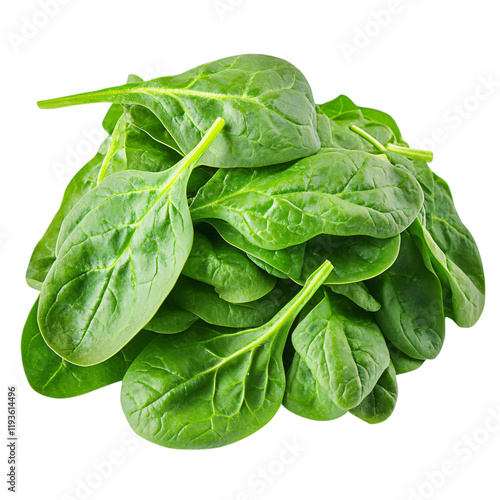 fresh spinach leaves