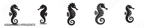 Vector collection of seahorse silhouettes with flat design style