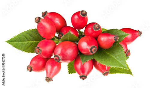Sweet rosehips with green leaves isolated on white background. Rosa canina. Closeup of red ripe rose hip berries on wild briar twig. Healthy autumn organic fruit of alternative nature herbal medicine.