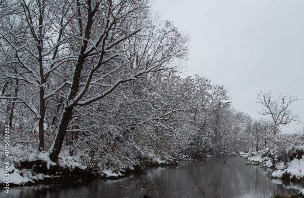 Fototapeta premium Snowy trees on a stream