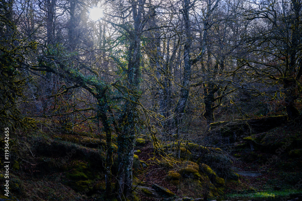 Beautiful Gorbea mountain forest and river during the fall and winter Beautiful Gorbea mountain forest and river during the fall and winter