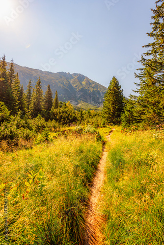 Mountain landscape in National Park Retezat, Romania. Hiking to Lacul Bucura througth Cabana Gentiana photo