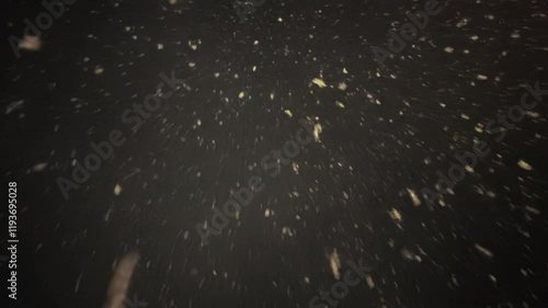 Falling snow flakes seen from below in slow motion, loop
